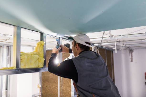 Best Types of Insulation in Ripon, WI